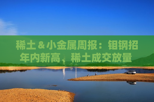 稀土＆小金属周报：钼钢招年内新高、稀土成交放量 继续看多锡涨价