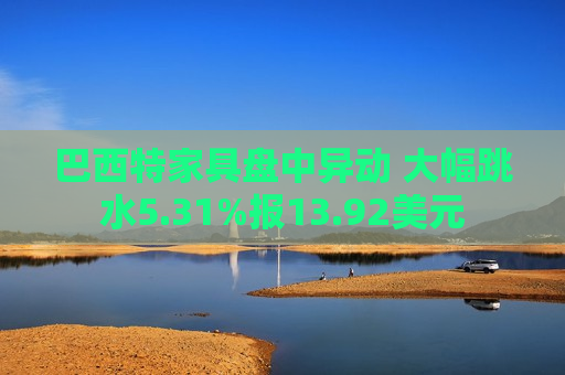 巴西特家具盘中异动 大幅跳水5.31%报13.92美元