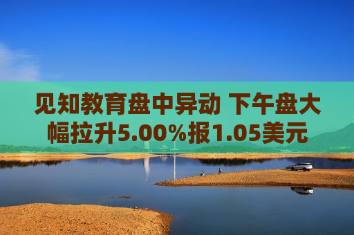 见知教育盘中异动 下午盘大幅拉升5.00%报1.05美元