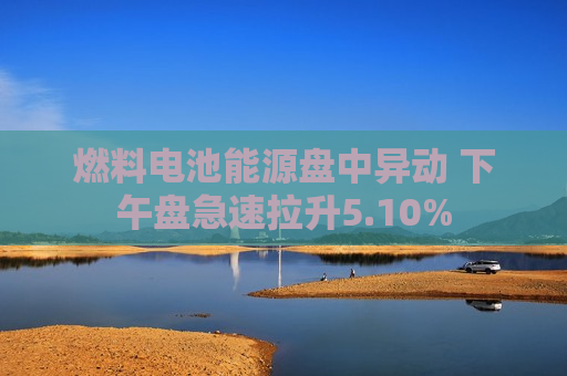 燃料电池能源盘中异动 下午盘急速拉升5.10%  第1张