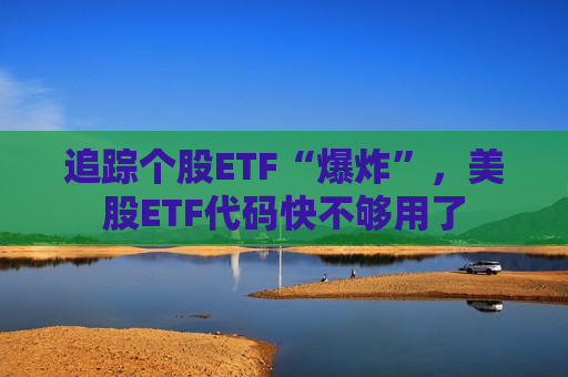 追踪个股ETF“爆炸”，美股ETF代码快不够用了  第1张