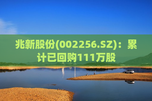 兆新股份(002256.SZ)：累计已回购111万股  第1张