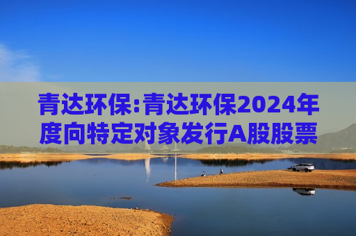 青达环保:青达环保2024年度向特定对象发行A股股票方案的论证分析报告