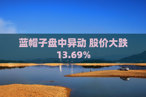 蓝帽子盘中异动 股价大跌13.69%