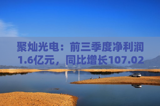 聚灿光电：前三季度净利润1.6亿元，同比增长107.02%