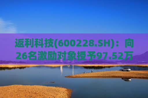 返利科技(600228.SH)：向26名激励对象授予97.52万股限制性股票  第1张