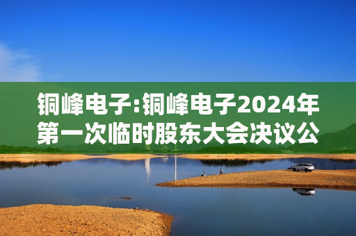 铜峰电子:铜峰电子2024年第一次临时股东大会决议公告