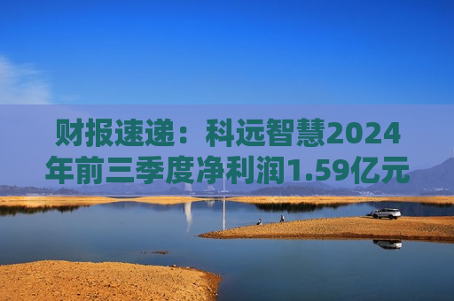 财报速递：科远智慧2024年前三季度净利润1.59亿元  第1张