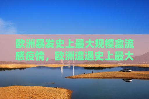 欧洲暴发史上最大规模禽流感疫情，欧洲遭遇史上最大规模禽流感疫情暴发