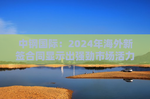 中钢国际：2024年海外新签合同显示出强劲市场活力 市场前景较乐观