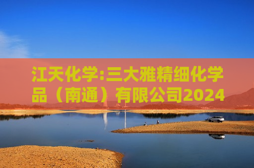 江天化学:三大雅精细化学品（南通）有限公司2024年1-6月、2023年度、2022年度审计报告