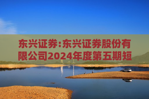 东兴证券:东兴证券股份有限公司2024年度第五期短期融资券发行结果公告