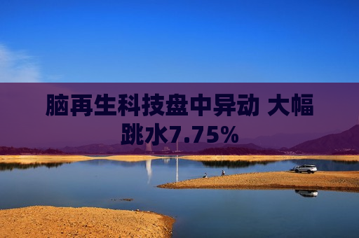 脑再生科技盘中异动 大幅跳水7.75%