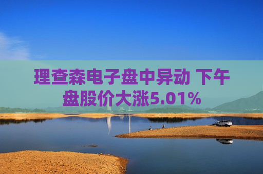 理查森电子盘中异动 下午盘股价大涨5.01%