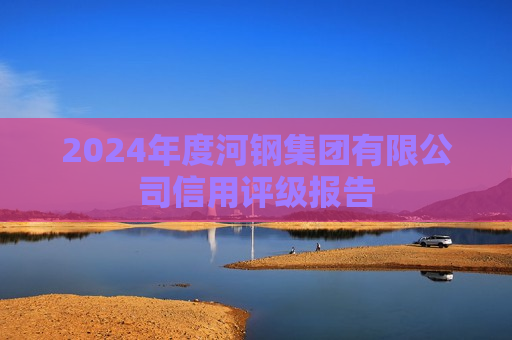 2024年度河钢集团有限公司信用评级报告