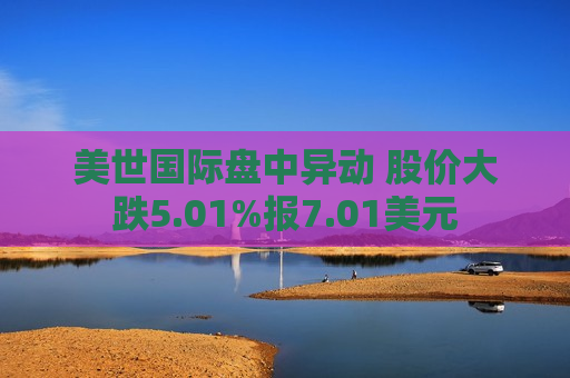 美世国际盘中异动 股价大跌5.01%报7.01美元