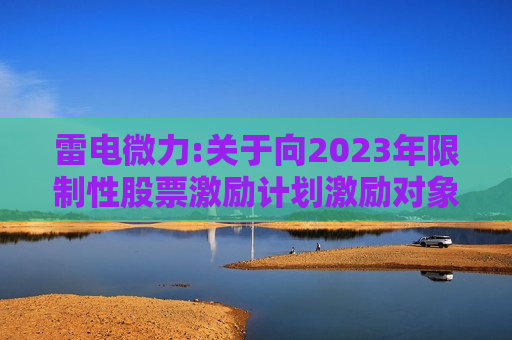 雷电微力:关于向2023年限制性股票激励计划激励对象授予预留限制性股票的公告