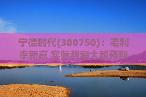 宁德时代(300750)：毛利率新高 实际利润大超预期