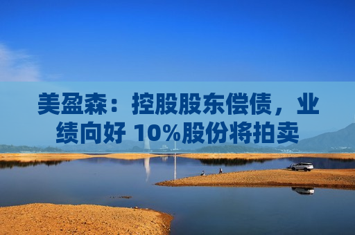 美盈森：控股股东偿债，业绩向好 10%股份将拍卖