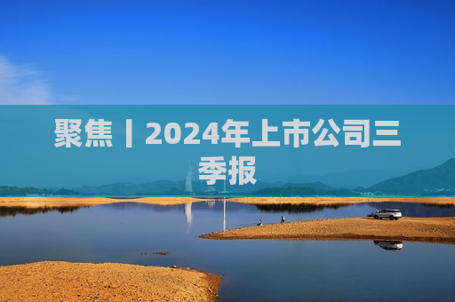 聚焦丨2024年上市公司三季报