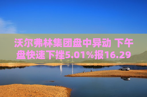 沃尔弗林集团盘中异动 下午盘快速下挫5.01%报16.29美元