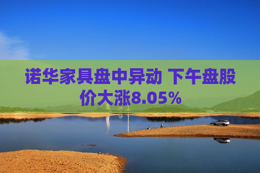 诺华家具盘中异动 下午盘股价大涨8.05%