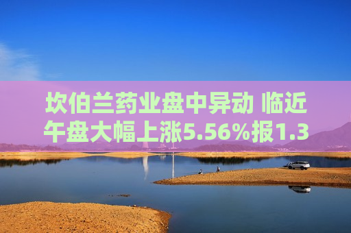 坎伯兰药业盘中异动 临近午盘大幅上涨5.56%报1.33美元  第1张