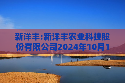 新洋丰:新洋丰农业科技股份有限公司2024年10月17日投资者关系活动记录表  第1张