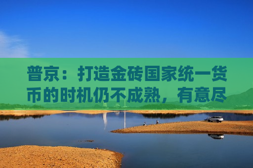 普京：打造金砖国家统一货币的时机仍不成熟，有意尽快结束乌克兰冲突  第1张