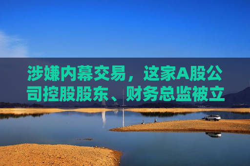 涉嫌内幕交易，这家A股公司控股股东、财务总监被立案调查！今年6月才“摘帽”