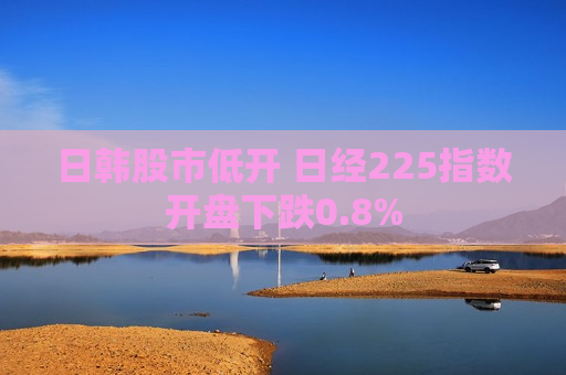 日韩股市低开 日经225指数开盘下跌0.8%  第1张