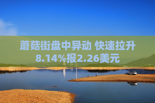 蘑菇街盘中异动 快速拉升8.14%报2.26美元