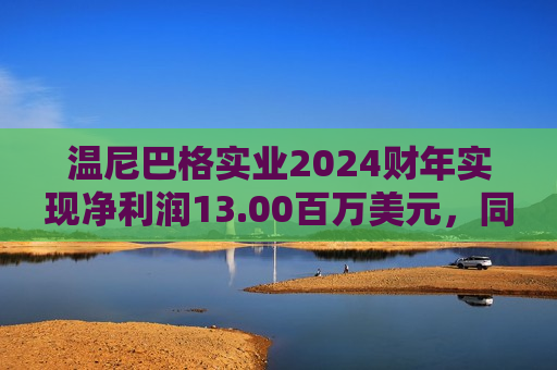 温尼巴格实业2024财年实现净利润13.00百万美元，同比减少93.98%