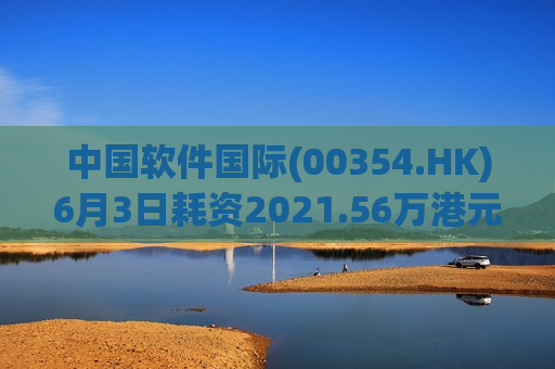 中国软件国际(00354.HK)6月3日耗资2021.56万港元回购500万股  第1张