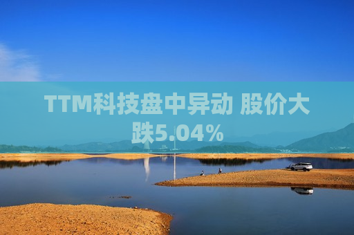 TTM科技盘中异动 股价大跌5.04%