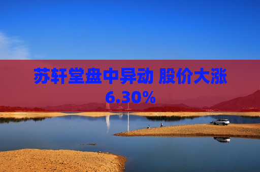 苏轩堂盘中异动 股价大涨6.30%