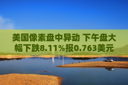 美国像素盘中异动 下午盘大幅下跌8.11%报0.763美元