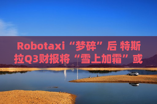 Robotaxi“梦碎”后 特斯拉Q3财报将“雪上加霜”或“雪中送炭”？  第1张