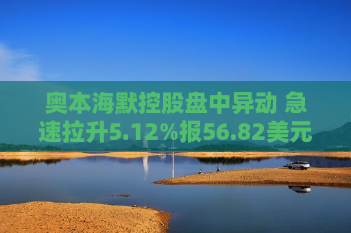 奥本海默控股盘中异动 急速拉升5.12%报56.82美元  第1张