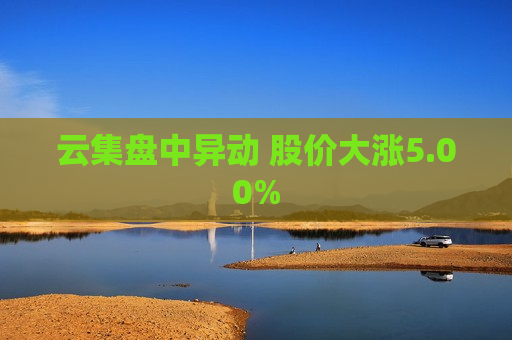 云集盘中异动 股价大涨5.00%  第1张