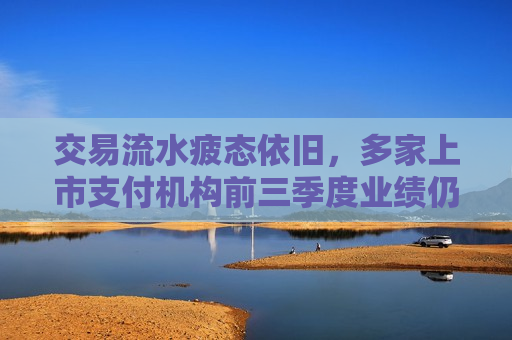 交易流水疲态依旧，多家上市支付机构前三季度业绩仍在下滑，有公司预计扫码支付规模有企稳迹象