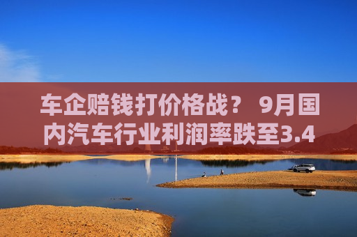 车企赔钱打价格战？ 9月国内汽车行业利润率跌至3.4%