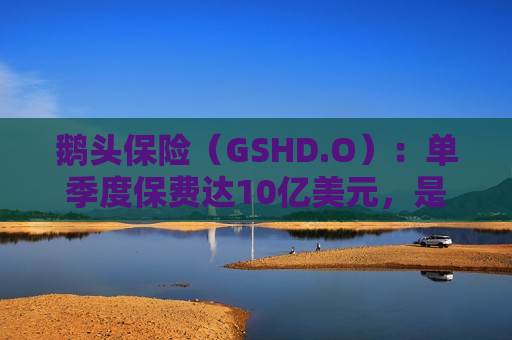 鹅头保险（GSHD.O）：单季度保费达10亿美元，是2018年4月IPO时的10倍