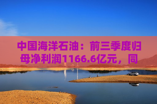 中国海洋石油：前三季度归母净利润1166.6亿元，同比增长19.5%  第1张