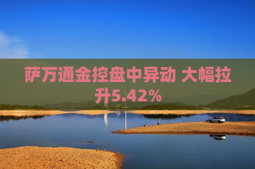 萨万通金控盘中异动 大幅拉升5.42%