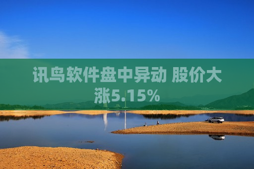 讯鸟软件盘中异动 股价大涨5.15%