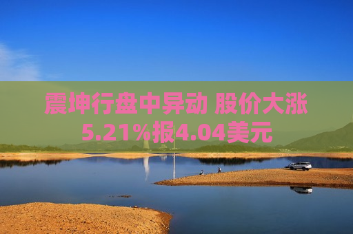 震坤行盘中异动 股价大涨5.21%报4.04美元  第1张