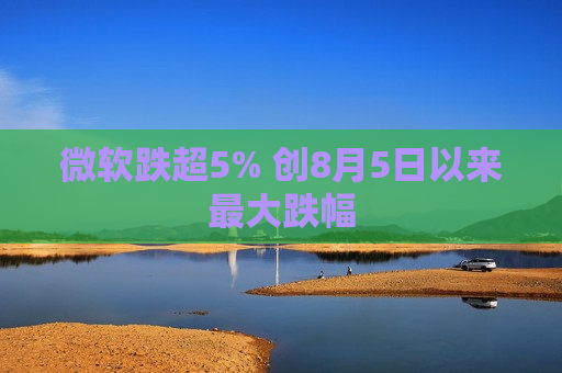 微软跌超5% 创8月5日以来最大跌幅  第1张