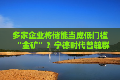 多家企业将储能当成低门槛“金矿”？宁德时代曾毓群发声  第1张