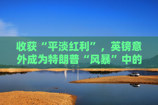 收获“平淡红利”，英镑意外成为特朗普“风暴”中的“避风港”